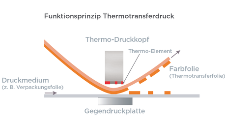 csm Thermotransfer Skizze2015 c88a24129a